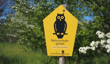 Berlin & Brandenburg: Naturschutz-Eule 75 Jahre alt - Sonderausstellung in Potsdam