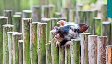 Ausflüge am 6. und 7. Dezember