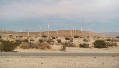 Unrechtmäßig und willkürlich: Gericht hebt Trumps Stopp neuer Windkraftprojekte auf