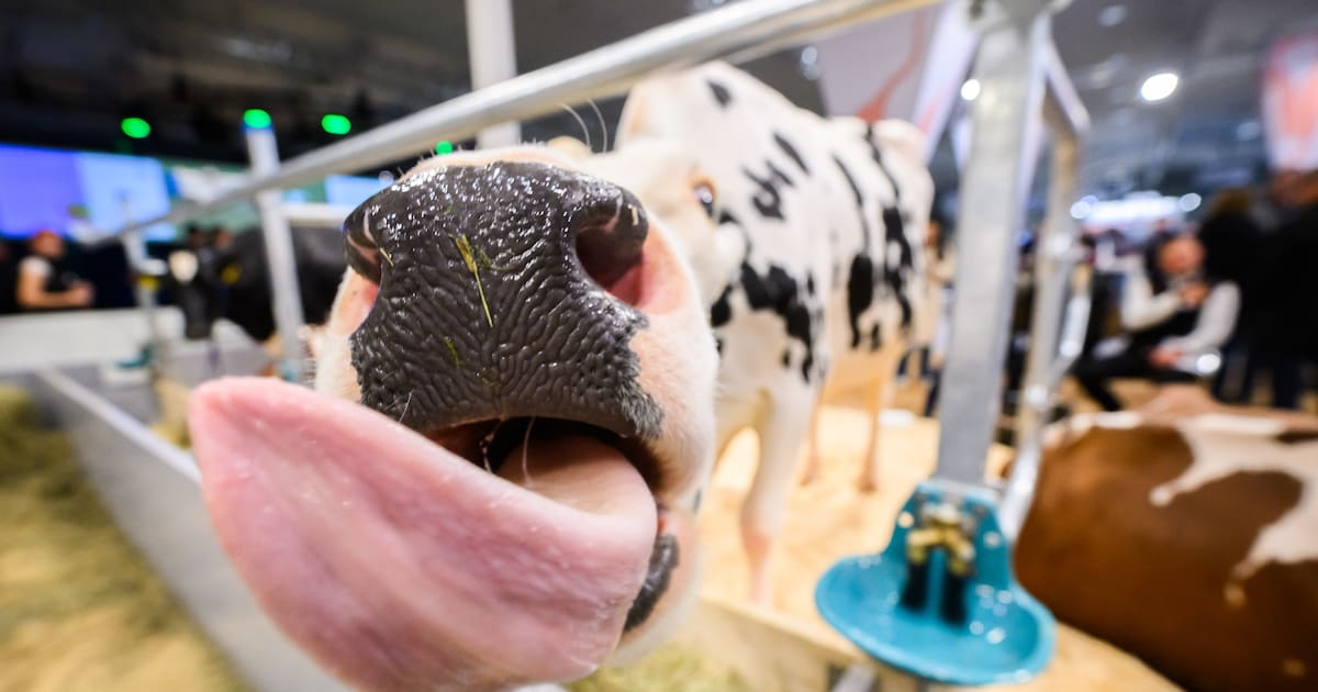 Nach Ausbruch im Landkreis Meißen