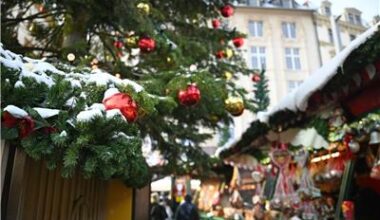 Weihnachtsbäume in Leipzig zu verschenken