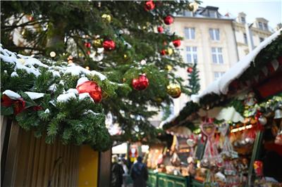 Weihnachtsbäume in Leipzig zu verschenken