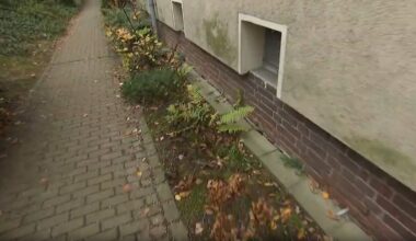 Der Tag: Zettel in Beet rettet Frau in Essen das Leben