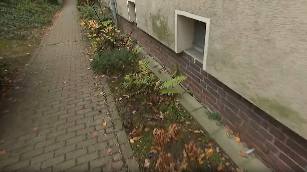 Der Tag: Zettel in Beet rettet Frau in Essen das Leben