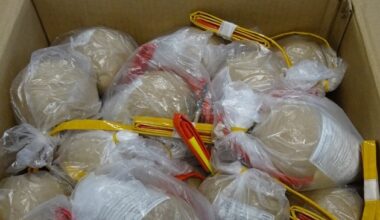 HZA-N: Zoll warnt vor gefährlichem Feuerwerk aus dem Ausland