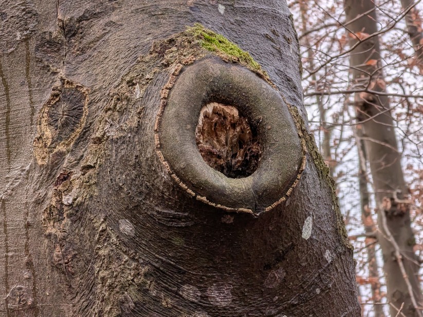 Google Pixel 10 Pro Fold - Originalaufnahmen