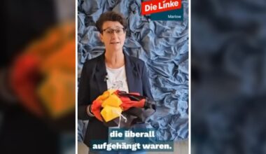 „Faschistisch“! Linken-Politikerin reißt Deutschland-Flaggen ab | Politik