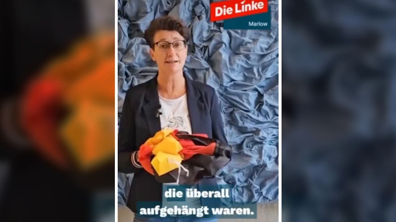 „Faschistisch“! Linken-Politikerin reißt Deutschland-Flaggen ab | Politik