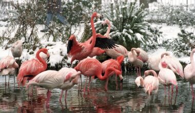 Zoo Leipzig: Wegen Vogelgrippe-Verdacht mehrere Gehege geschlossen | Regional