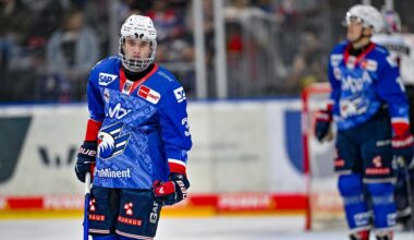 Adler Mannheim kämpft um DEL-Tabellenführung gegen Straubing und Augsburg
