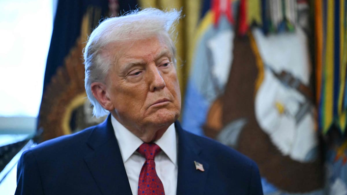 Ukraine-Krise und Nato-Angst - bremst der Kongress Trumps Pläne aus?