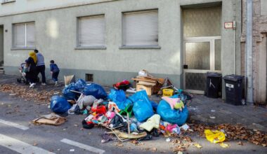Wo die AfD nichts tun muss, um stark zu sein