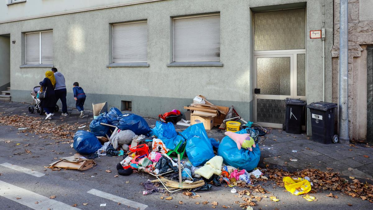 Wo die AfD nichts tun muss, um stark zu sein