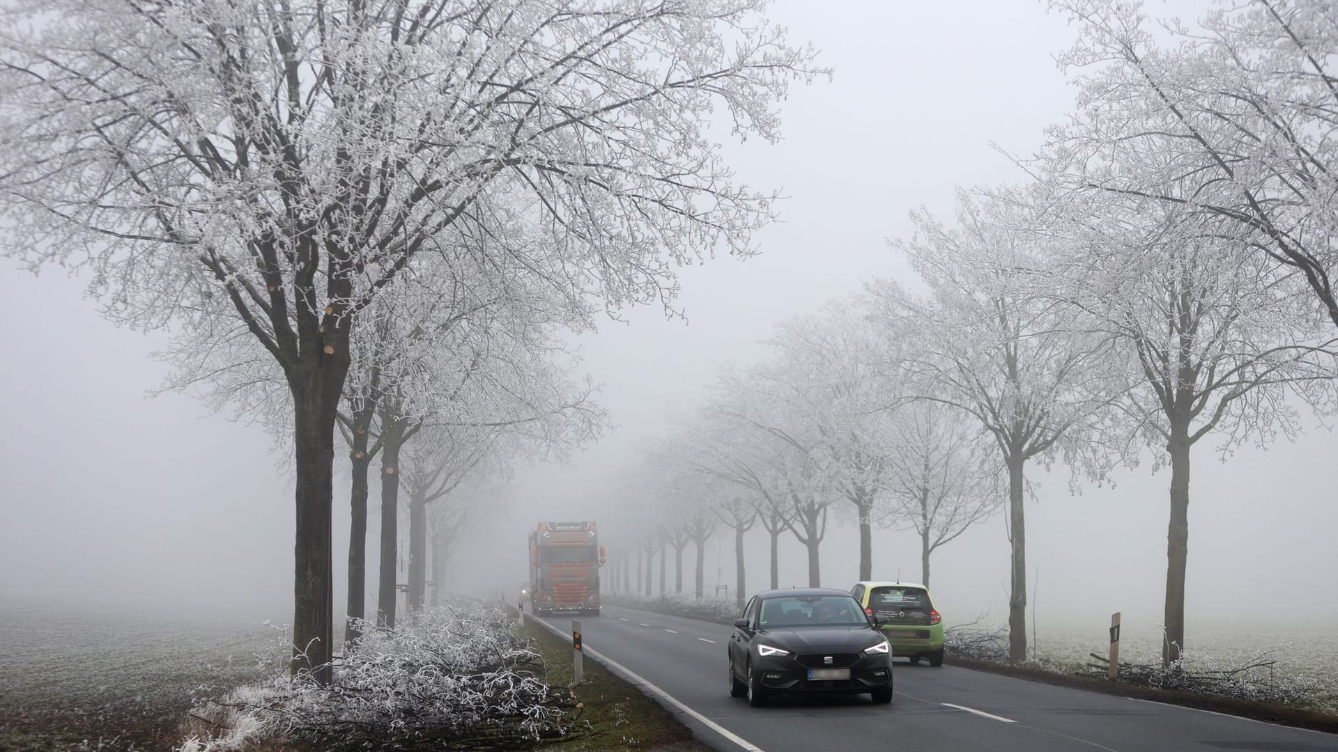 Frostige und neblige Nacht zum Freitag Frostige und neblige Nacht zum Freitag