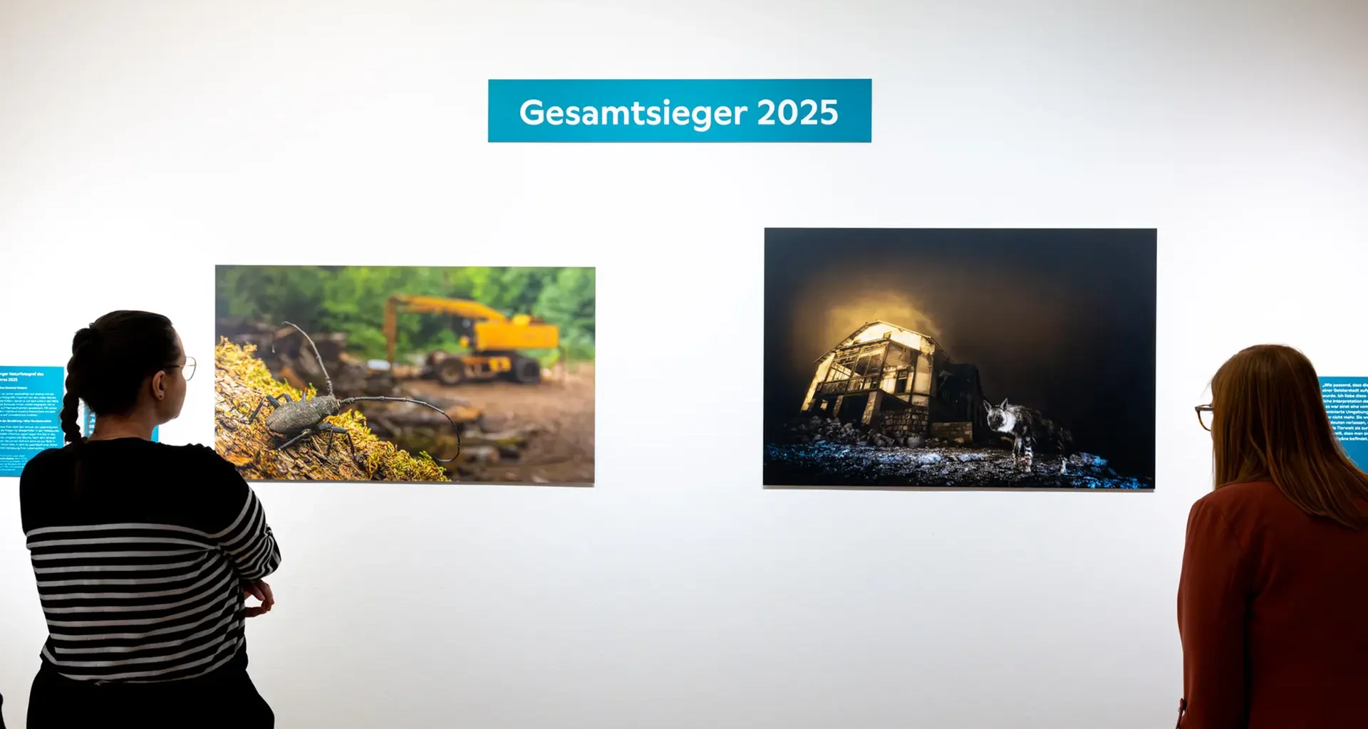 "Wildlife Photographer 2025": Ausstellung öffnet in Braunschweig