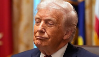 Sicherheitsexperte: Trump würde Deutschland für AfD-Verbot bestrafen | Politik