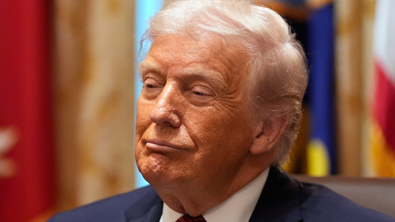 Sicherheitsexperte: Trump würde Deutschland für AfD-Verbot bestrafen | Politik