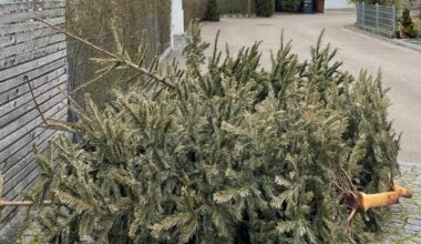 So können Christbäume in Augsburg abgegeben werden