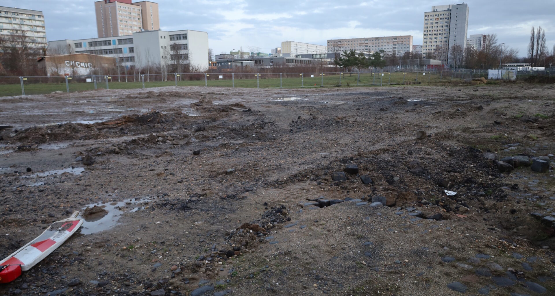 Rüge der Landesdirektion bestätigt die Kritik der Initiative Stadtnatur · Leipziger Zeitung