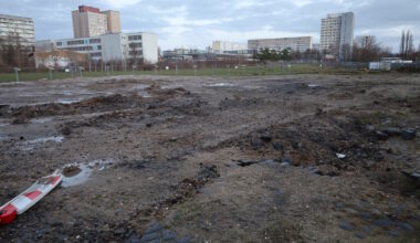 Rüge der Landesdirektion bestätigt die Kritik der Initiative Stadtnatur · Leipziger Zeitung