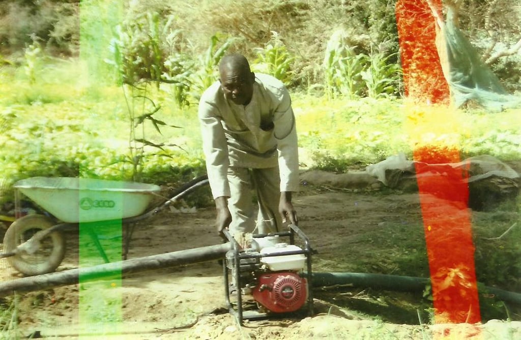 Ein paar gibt es schon, aber das „Zwiebel-Projekt“ benötigt mehr Pumpen, um das Wasser des Flusses Niger auf die Felder zu bringen.