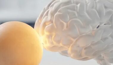 Wärme und Cholin statt Willenskraft