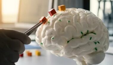 Jeder dritte Fall in Deutschland vermeidbar