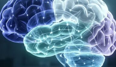 Unser Gehirn durchläuft fünf Lebensphasen