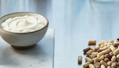 Käse schützt vor Demenz, Fertigessen schadet dem Gehirn