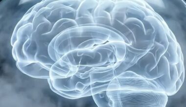 Vom Atemschutz zum aktiven Gehirnschutz