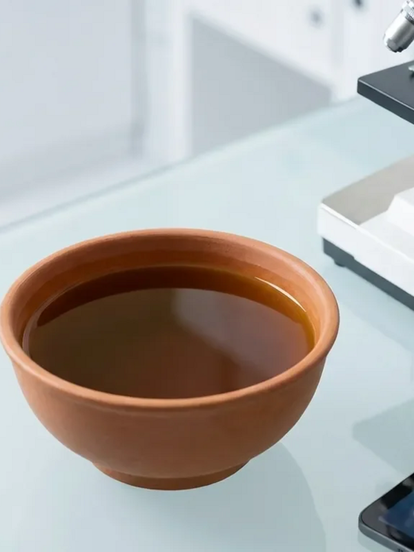 TCM-Studien belegen molekulare Wirkung gegen Krebs