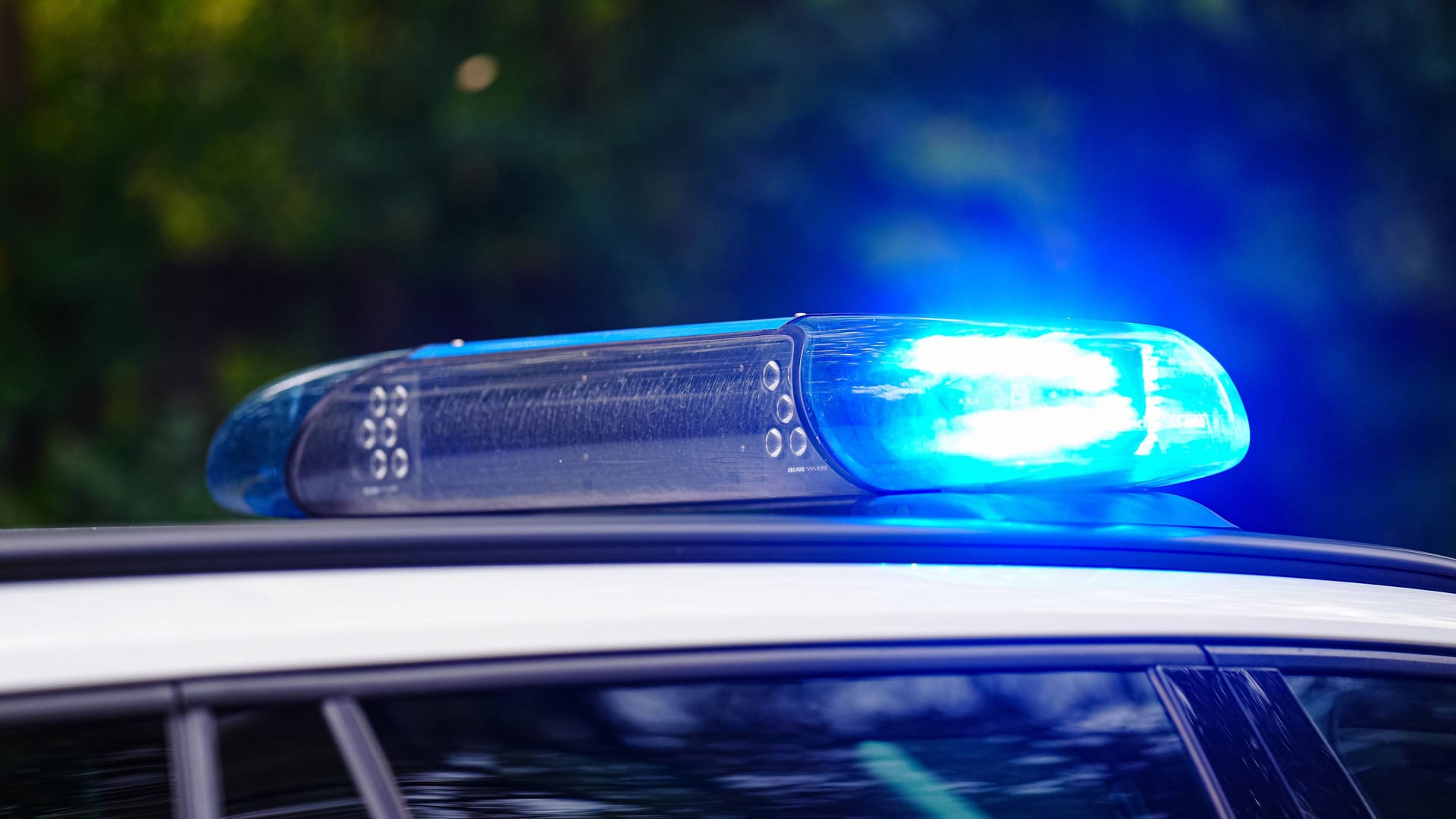 Blaulicht auf einem Streifenwagen (Symbolbild): Eine sofort eingeleitete Fahndung blieb ohne Erfolg. Blaulicht auf einem Streifenwagen (Symbolbild): Eine sofort eingeleitete Fahndung blieb ohne Erfolg.