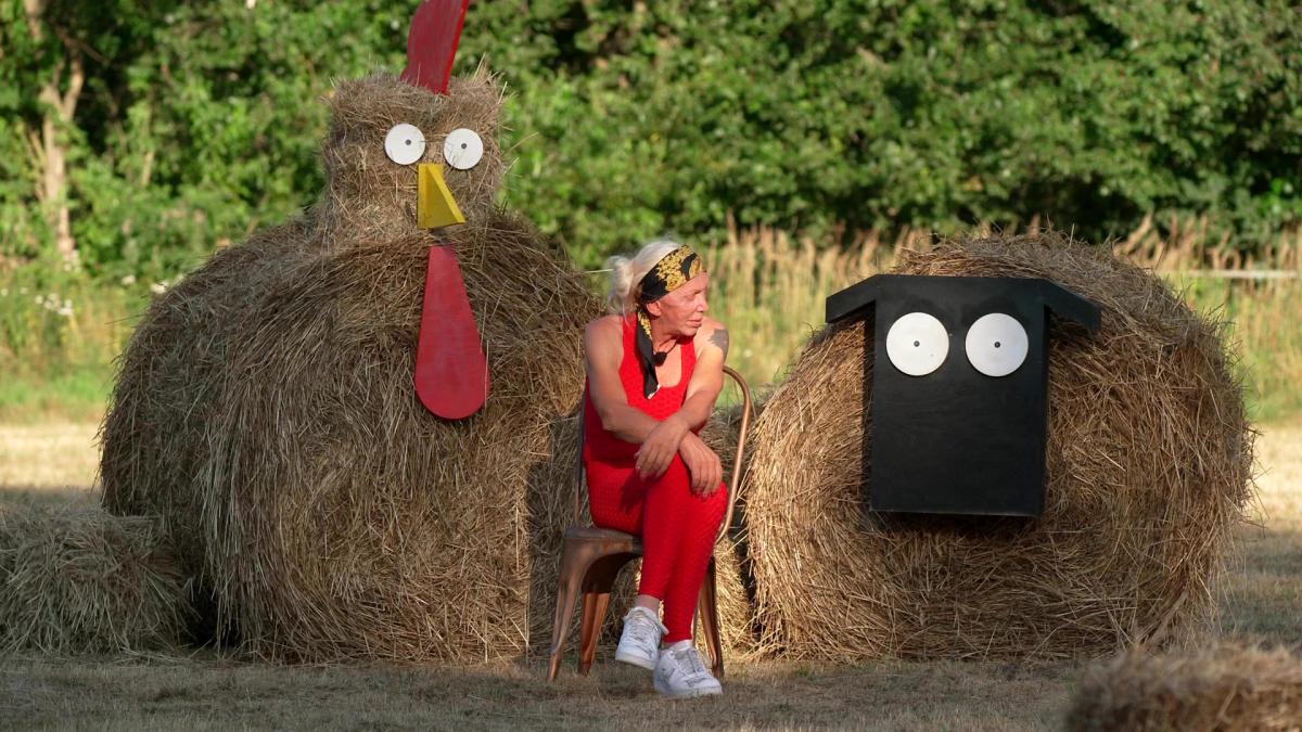 Der Promihof: Kandidaten - welche Teilnehmer sind dabei? Und wer ist raus?