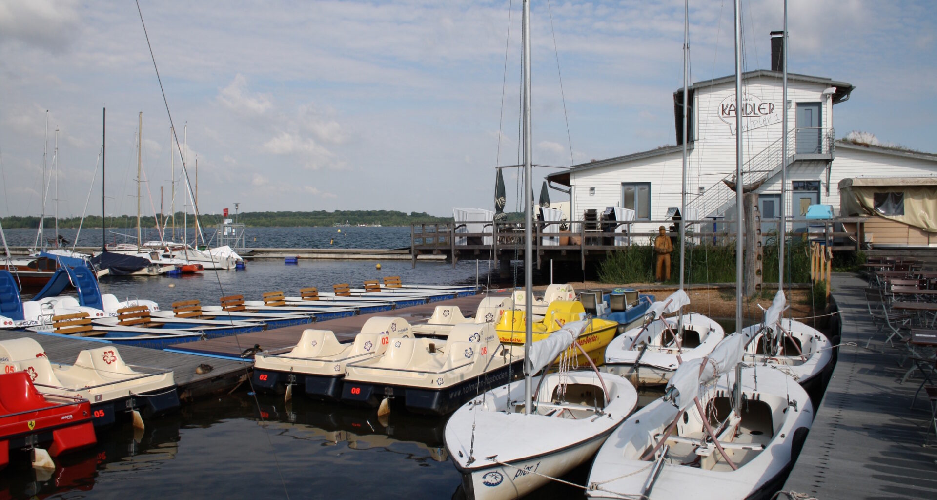 Anliegen der Ökolöwen-Petition einfach weggewischt · Leipziger Zeitung