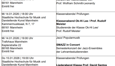 Brave screenshot www.aikq.de (22)