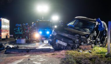 Ermittlungen wegen gefällter Bäume in Fechenheim ➤ Hessen am Morgen: Die Nachrichten im Ticker