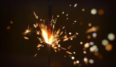 Landeskriminalamt Sachsen: Knallen nur mit CE-Kennzeichen