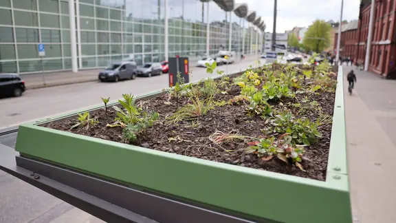 Auf dem Dach einer Bushaltestelle an den Messehallen ist eine kleine Grünfläche angelegt.