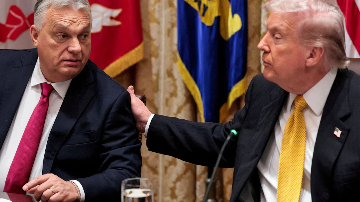 Trump in umstrittenem Interview: „Europa wird zerstört“ - Politik