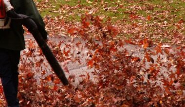 Warum setzt die Mainzer Stadtverwaltung weiter auf Laubbläser?