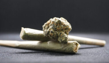 Große Drogen-Razzia in der Neustadt – Mehrere Kilo Drogen sichergestellt