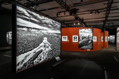 Bilder in Sorge | choices