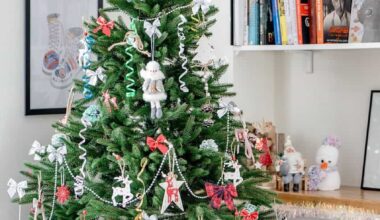 Dresden: Gebührenfreie Weihnachtsbaumentsorgung 2025 - Sammelplätze und Infos