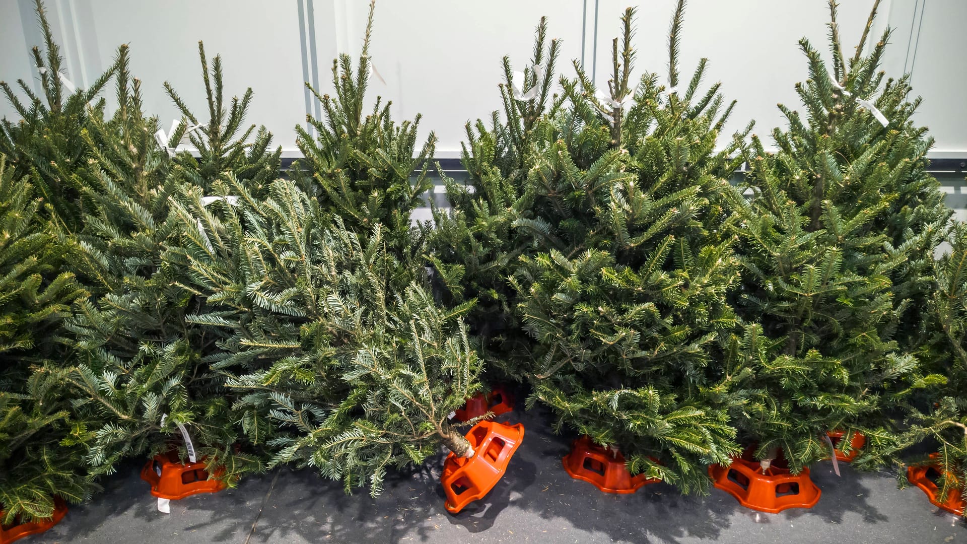 imago images 0841604147