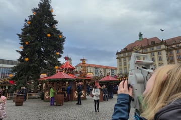 So hoch ist die Striezeltanne: Reicht das für den Spitzenplatz?