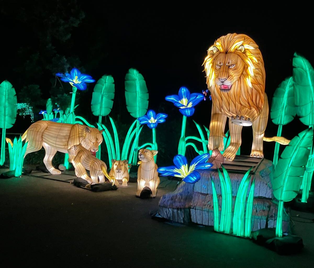 China Lights im Kölner Zoo gestartet