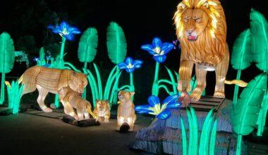 China Lights im Kölner Zoo gestartet