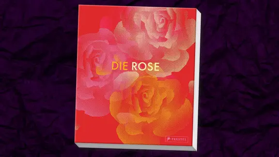 Cover, Die Rose in Fotografie, Grafik, Kunst, Kunsthandwerk und Mode