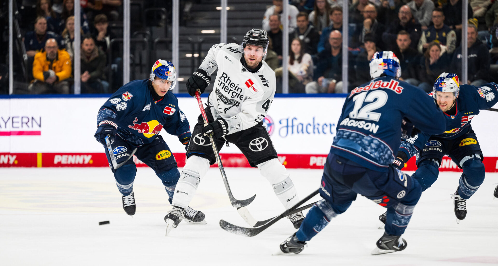 Knappe Niederlage in München - Haie unterliegen 1:2 nach Verlängerung