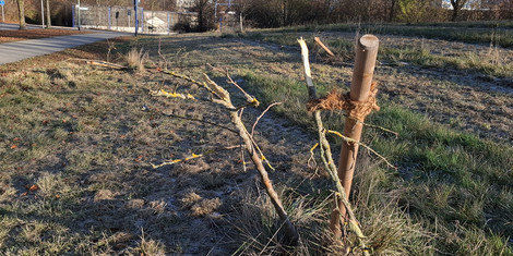 cropped-1764586135-20251134-vandalismus_1